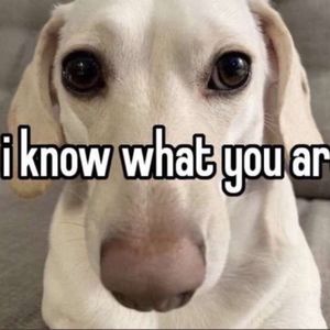 Meet your Posher, Claire